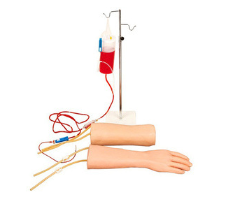 手部、肘部組合式靜脈（血）訓練模型